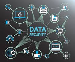 What to Look for in Data Security Software?